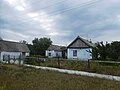  Синьківка